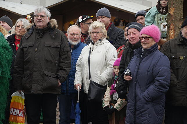 Bild 22: Bildergalerie zum Ringtreffen des Alemannischen Narrenrings in Friedrichshafen am Ringtreffen