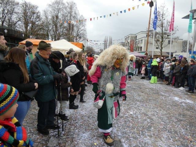 Bild 27: Teil 2: Bildergalerie zum Albbrucker Narrentreffen am 2. und 3. Februar 2019