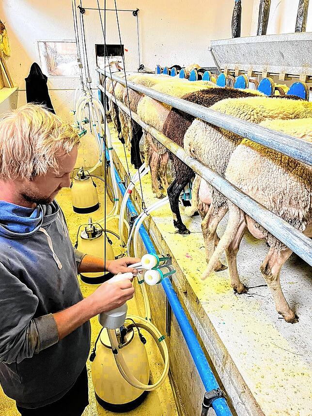 David Lippner kümmert sich um die Technik auf dem Hof und um die Schafe.