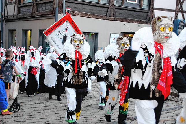 Bild 20: Bilder vom Fasnetverbrennen in Meßkirch 2025: Ein einzigartiges Spektakel!