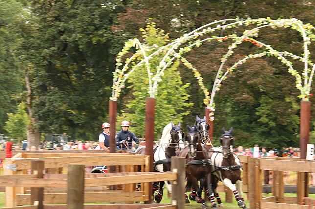Bild 13: Bilder vom Marathon der Vierspänner beim Reitturnier in Donaueschingen