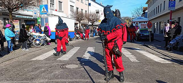 Bild 12: Der große Fasnetsumzug in Tiengen im strahlenden Sonnenschein - hier die schönsten Einblicke