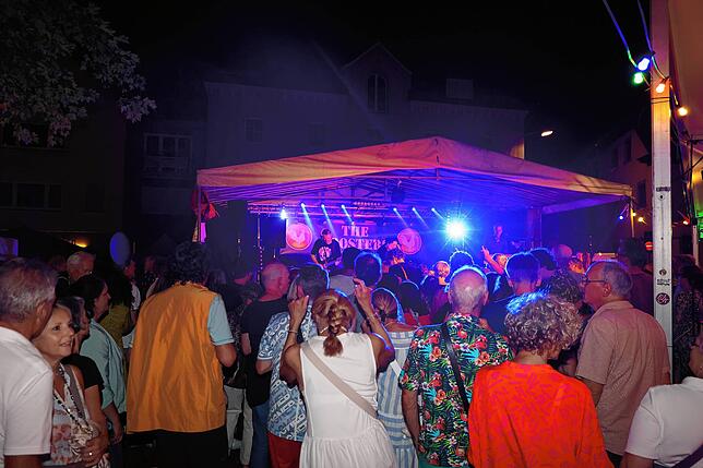 Bild 9: Maritimes Flair und Partystimmung: So feiern die Gäste beim Hafenfest 2025 in Staad
