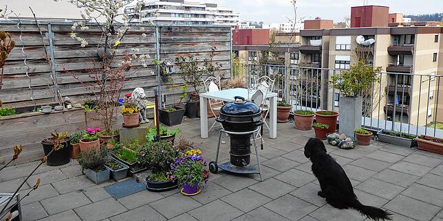 Blick von der Terrasse auf die Nordseite des Areals, wo keine laute Straße vorbeiführt, sondern nur Wohnblocks stehen.