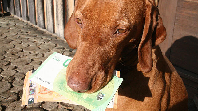 Es bleibt dabei: In Görwihl werden weiterhin 200 Euro Hundesteuer erhoben. Der Gemeinderat, mit Ausnahme der Antragsteller selbst, ...