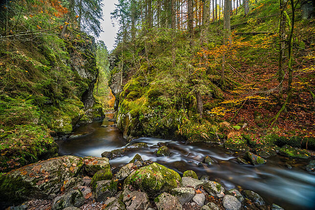 Der Schluchtensteig führt auf 119 Kilometern durch die Naturvielfalt der Region.
