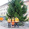 So einsam wird es in diesem Jahr auf dem Münsterplatz bleiben. Der Weihnachtmarkt wurde abgesagt, aber einen großen Christbaum werden ...