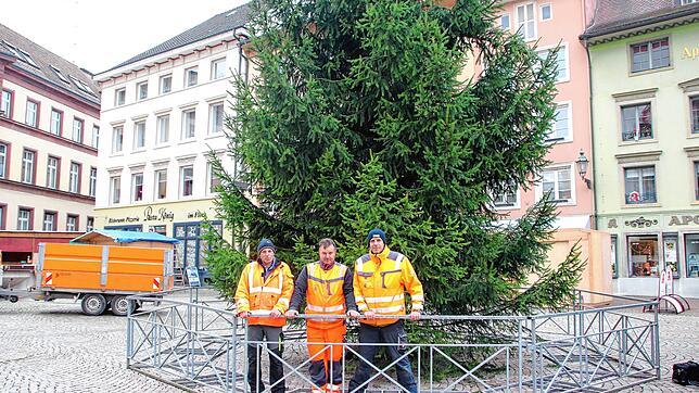 So einsam wird es in diesem Jahr auf dem Münsterplatz bleiben. Der Weihnachtmarkt wurde abgesagt, aber einen großen Christbaum werden ...