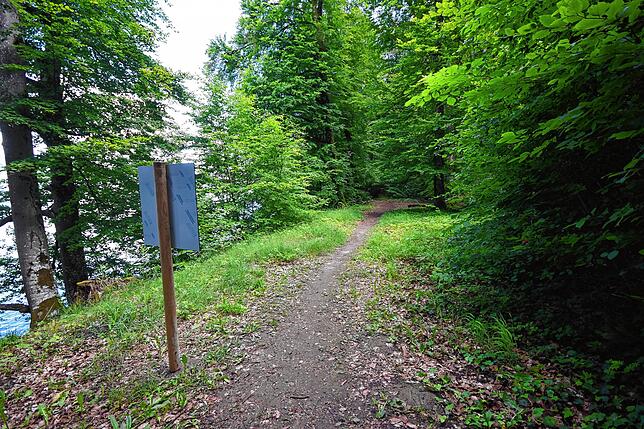 Blickrichtung Wallhausen. Dieser Weg führt nur ein Stück am Ufer &ndash; dann geht es in den Wald über den Burghof nach Wallhausen.