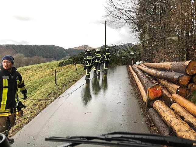 Hier hat ein Baum eine Stromleitung im Landkreis Breisgau-Hochschwarzwald gekappt.