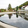 Die Kläranlage Tiengen hat die 100-Millionen-Kubikmeter-Marke an gereinigtem Wasser überschritten. Der Schluchsee hat etwa 108 Millionen ...