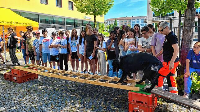 Ute Wiedemer (Vorsitzende der Rettungshundestaffel Westlicher Bodensee) und ihr Hund Kingsley (vorn) zeigen beim Aktionstag ...