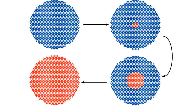 Das Coronavirus breitet sich exponentiell aus.