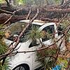Unwetter in Basel: Am Donnerstagabend, kurz vor 20 Uhr, stürzten in der Badenweilerstraße und in der General-Guisan-Straße in Basel ...