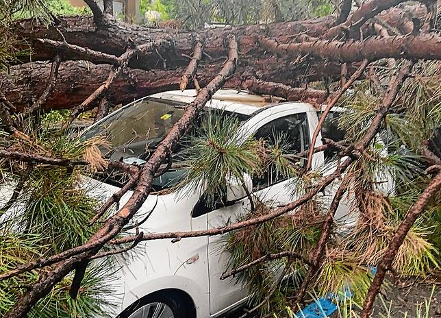 Unwetter in Basel: Am Donnerstagabend, kurz vor 20 Uhr, stürzten in der Badenweilerstraße und in der General-Guisan-Straße in Basel ...