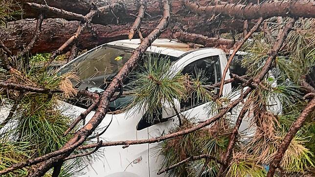 Unwetter in Basel: Am Donnerstagabend, kurz vor 20 Uhr, stürzten in der Badenweilerstraße und in der General-Guisan-Straße in Basel ...