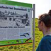 Fünf Infotafeln beschreiben die Schlacht bei Dossenbach und das Leben von Georg Herwegh.