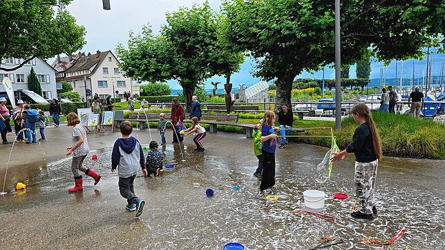 Bild 30: Uhldingen feiert: Die besten Bilder vom ersten Tag des Hafenfestes mit Schrottregatta