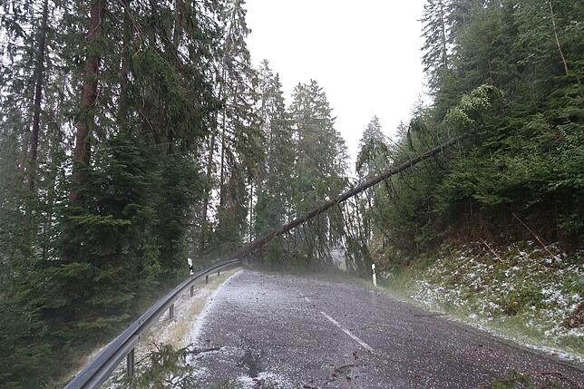 Bild 16: Die Folgen des Unwetters rund um Bonndorf am Freitag, 26. Juli 2019