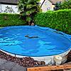 In Rheinfelden landete im Juni ein Reh in einem Pool.