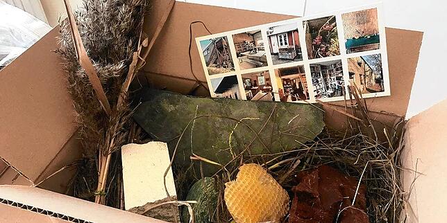Die Waldorfschule schickte an ausgewählte Architekten ein Paket mit Bienenwaben, Schilf, Kalksandstein und weiteren Dingen, die der ...
