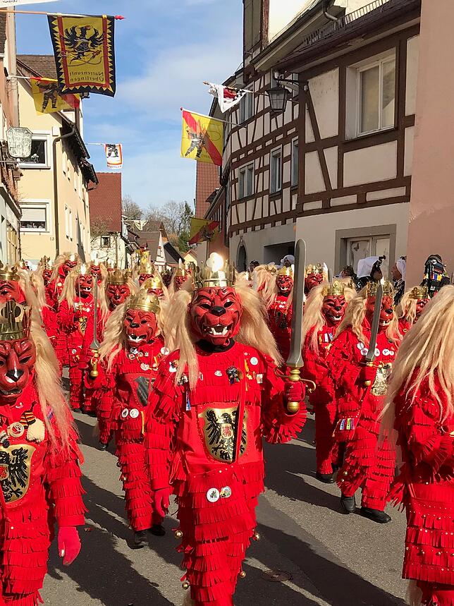 Bild 7: Was in Überlingen durch die Gassen schallt: Der Narrenmarsch in Bildern