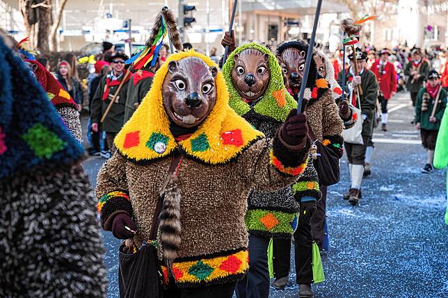 Bild 30: Unvergessliche Bilder vom Rosenmontagsumzug in Gottmadingen: So bunt war die Fasnacht 2025!
