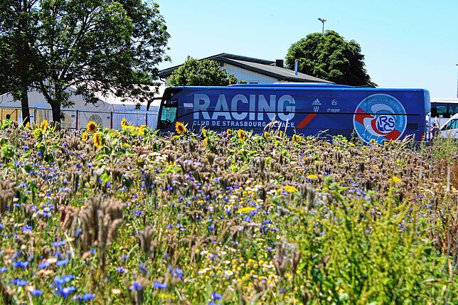 Idyllisch abgeparkt: der Mannschaftsbus des französischen Fußball-Erstligisten Racing Straßburg steht hinter einer bunten Blumenwiese am ...