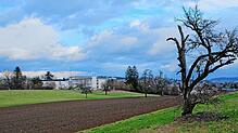 Auf diesem Areal westlich des Helios-Spitals Überlingen wird das neue Pflegezentrum entstehen.