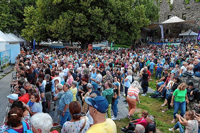 Bild 38: Hohentwiel-Festival mit der Spider Murphy Gang - Bilderstory Teil 1