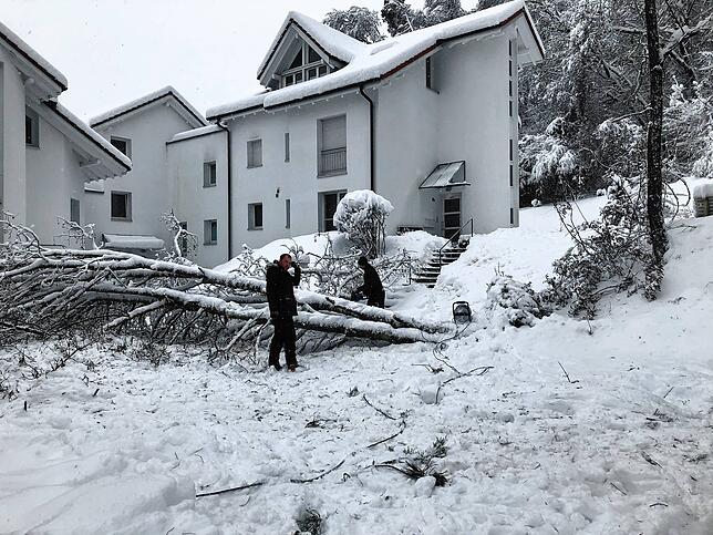 Anwohner greifen zur Säge: Stück für Stück sägen Anwohner die Äste eines umgefallenen Baums in Waldshut ab.