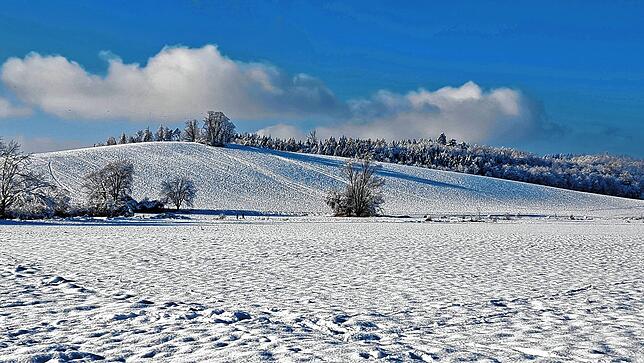 Bild 34: Was für ein Wintereinbruch am Bodensee: Die schönsten Schnee-Bilder vom Wochenende