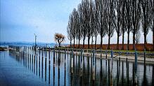 Blick auf den Mooser Hafen. Die Gemeinde änderte kürzlich die Gebührenordnung ihrer Häfen. Unter anderem werden Gastliegeplätze deutlich ...