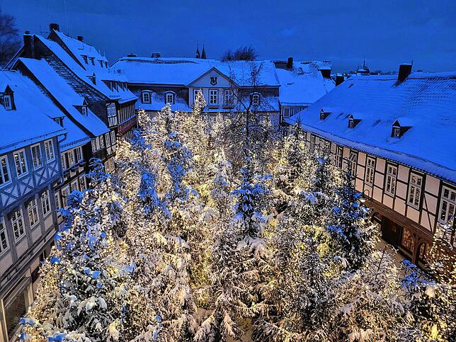 Nadelbäume auf dem Schuhhof: In Goslar wird zum Advent ein Weihnachtswald geschaffen, in dem sich auch die Buden verstecken.