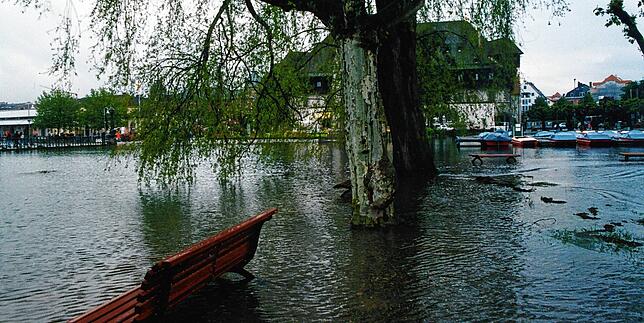 (Archivbild) Der Rand des Stadtgartens lud nicht mehr zum Spazieren ein. Wer hier durch wollte, bekam nasse Füße.