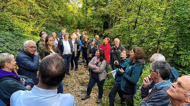 Gemeinderat im Wald: Zu den Topthemen zählt die Auswirkung des Klimawandels. Neben ökonomischen und ökologischen Aspekten bewegen die ...