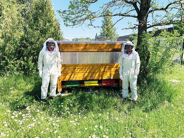 Die Anton Häring KG beherbergt seit 2021 drei Bienenvölker in einem selbst gebautem Bienenstand.