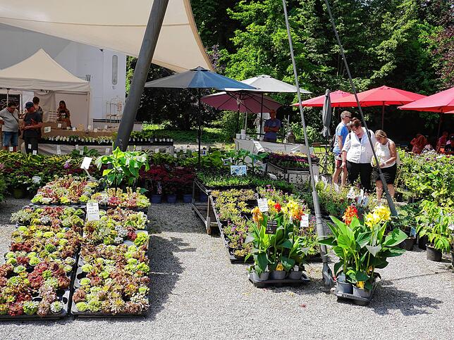 Impressionen von der Gartenlust-Ausstellung im Park von Schloss Schönau