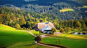 Wandern am Rohrhardsberg,hier mit Blick auf den Schänzlehof – das ermöglicht unter anderem der U(h)rwaldpfad. Doch welche Konflikte ...