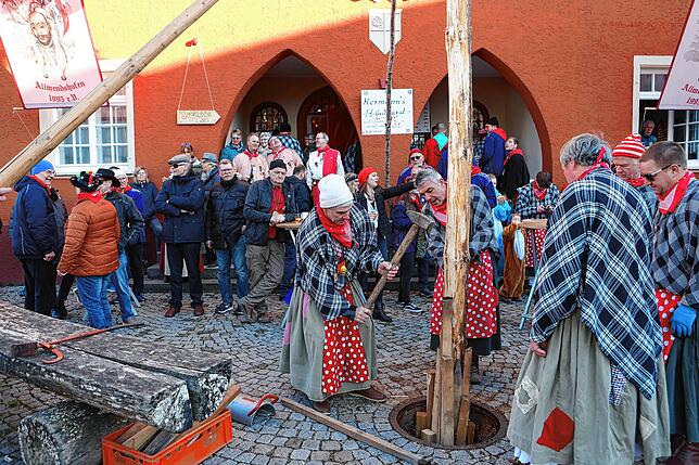 Bild 4: Mit einem kräftigen Hau Ruck wird der Narrenbaum in Position gebracht