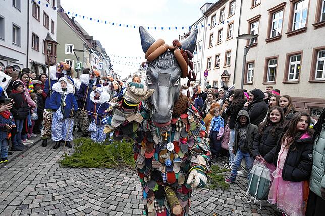 Bild 15: So schön war es am Dienstag beim großen Umzug in Villingen (Teil 2)