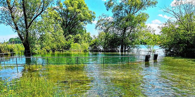 (Archivbild) Der Vorflutkanal im Wollmatinger Ried. Das Becken am Ende des Kanals war im Juni 2024 überschwemmt.