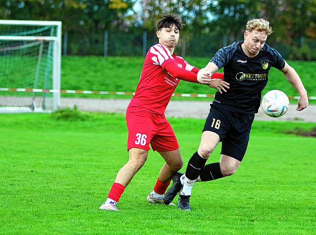 Bild 14: FC RW Salem gewinnt Landesligaspitzenspiel gegen FC Pfaffenweiler. Wir haben die besten Bilder!