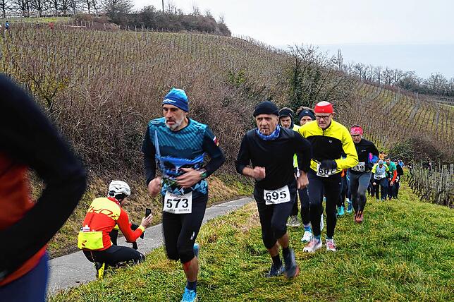 Bild 24: Bilder vom Crosslauf Hegau-Bodensee in den Reben oberhalb der Haltnau