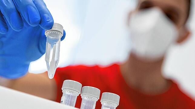 Die neuen Covid-Testzentren können innerhalb von 24 Stunden Ergebnisse vorlegen.