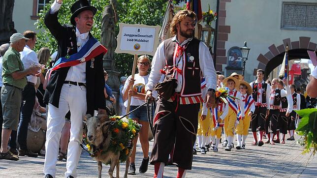 Vier Vereine stemmen das große Waldshuter Heimatfest Chilbi. Vier Mitglieder verraten, warum sie sich engagieren.