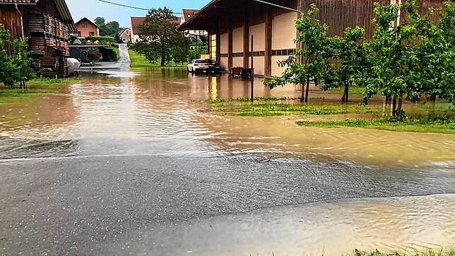 Anfang Juni wurden Flächen in Riedheim überschwemmt. Betroffen davon waren auch viele landwirtschaftliche Betriebe. Der ...