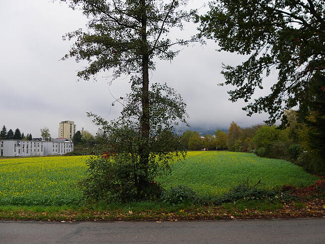 Bild 8: Hier könnte die Stadt noch wachsen: Die acht wichtigsten Flächen für eine bauliche Entwicklung Bad Säckingens