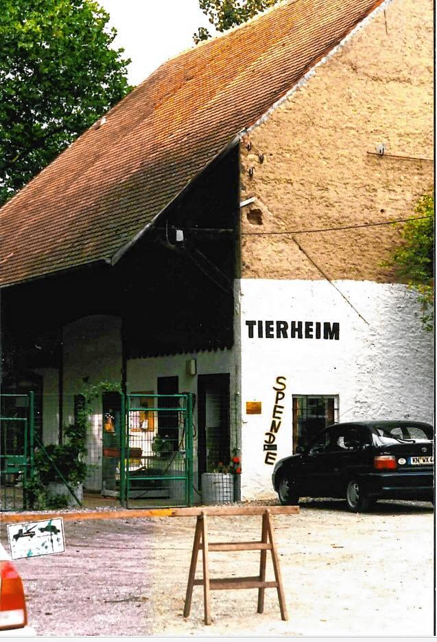 Im alten Farrenstall war das Singener Tierheim zuvor untergebracht.