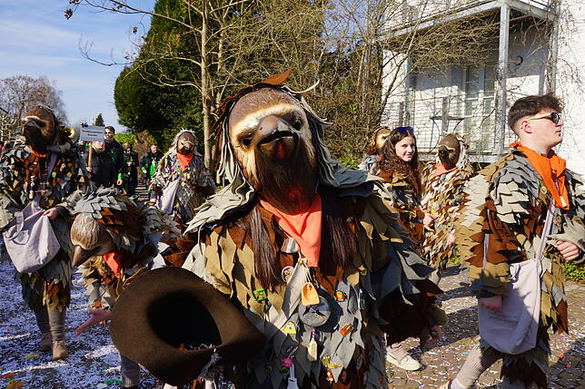 Bild 6: Küssaberger Narrentreffen 2025: Rheinheim feiert Fasnacht